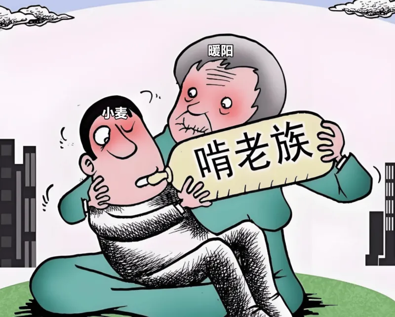 AG体育-狼队打穿胜者组挺进总决赛,KSG双状元组合追平队史最好成绩